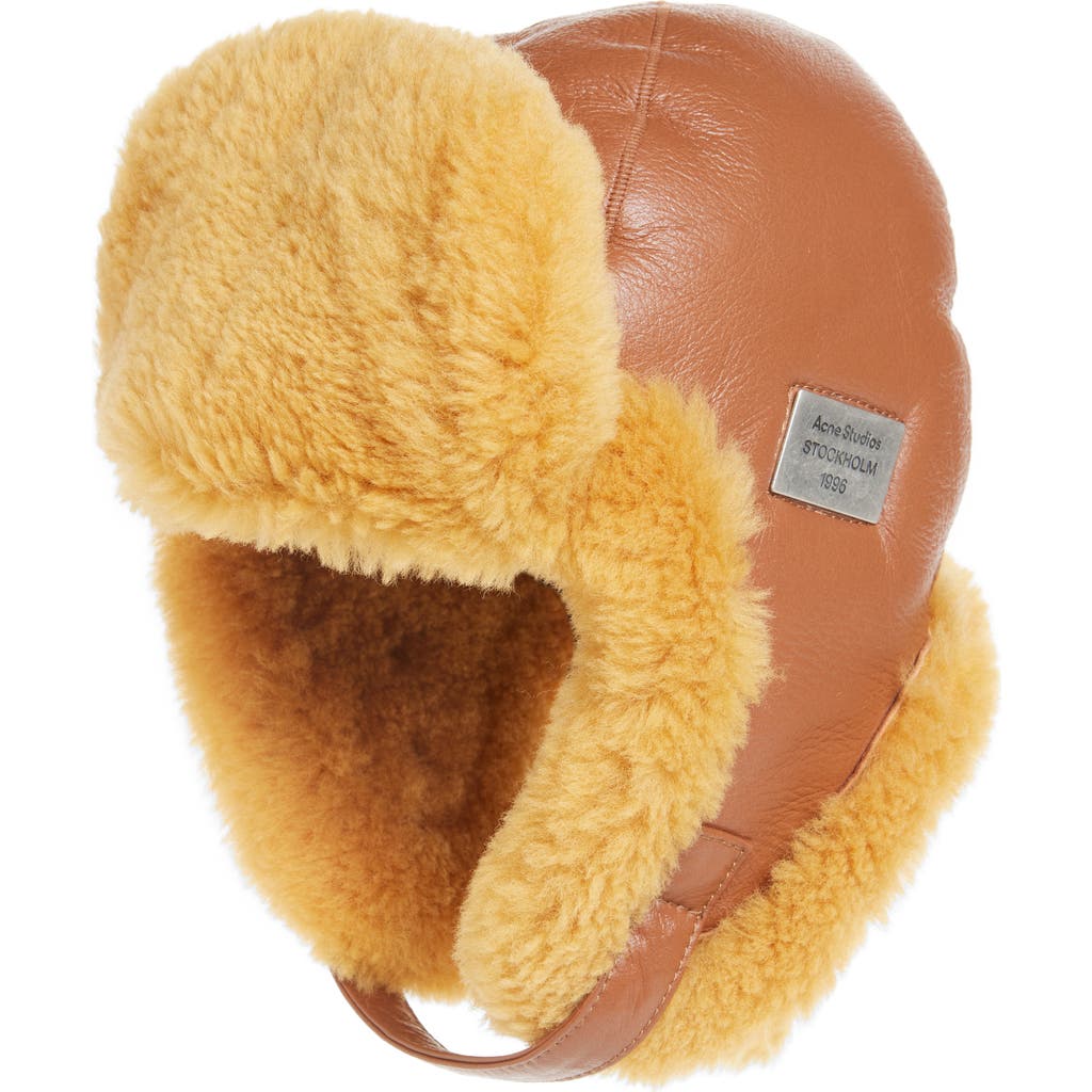 Acne Studios Belmet Leather & Genuine Shearling Hat In Multi