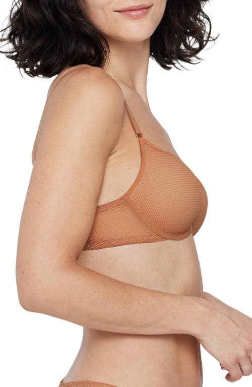 Skarlett Blue Mischief Push-up Bra In Burgundy