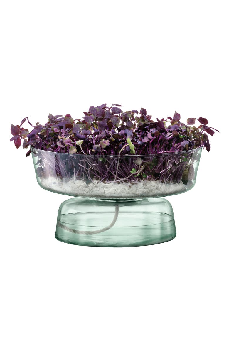 LSA Canopy Self Watering Glass Planter, Alternate, color, Clear