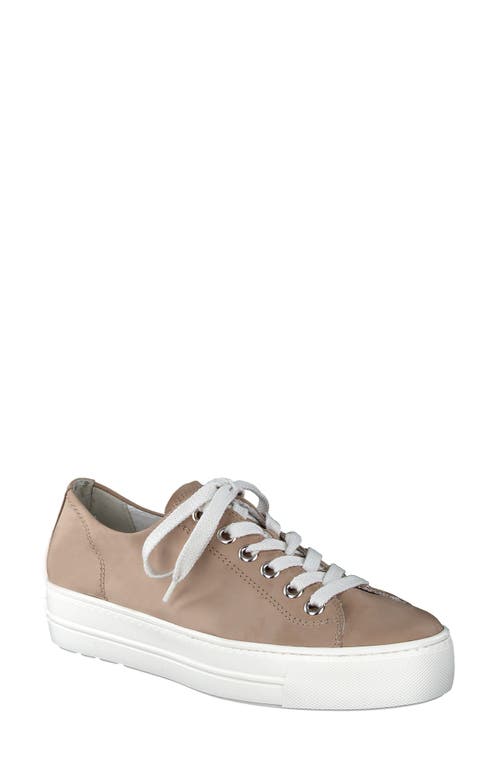 Paul Green Bixby Platform Sneaker in Antelope Nubuk 