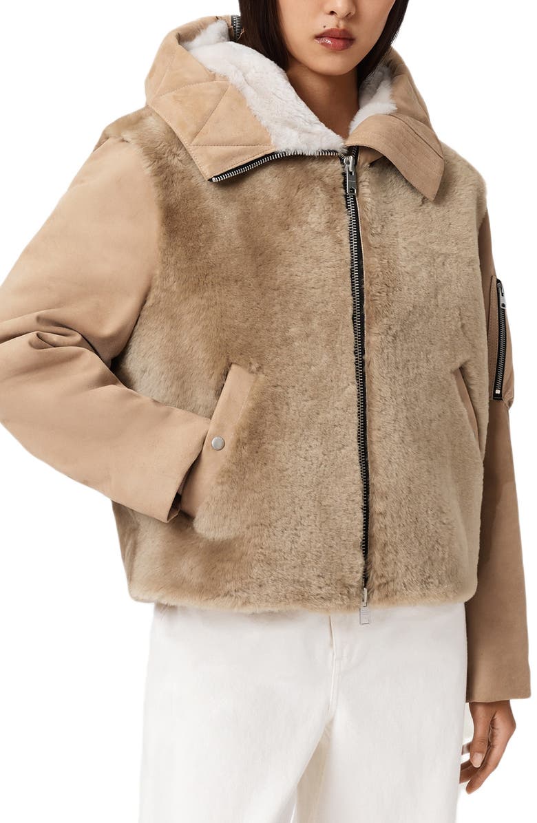 AllSaints Dexter Genuine Shearling Bomber Jacket, Main, color, Taupe Brown