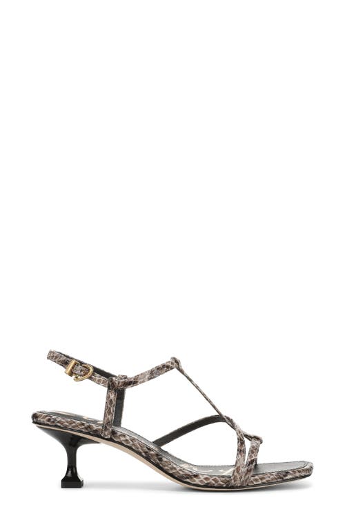Circus Ny By Sam Edelman Jaida Snakeskin Embossed Strappy Sandal In Multi