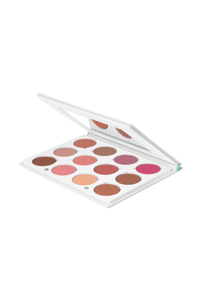 Pro Palette - Blush, Alternate, color, pink