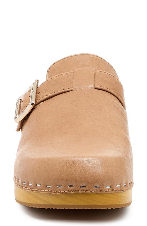 Kelsi Dagger Brooklyn Nitro Platform Clog In Brown