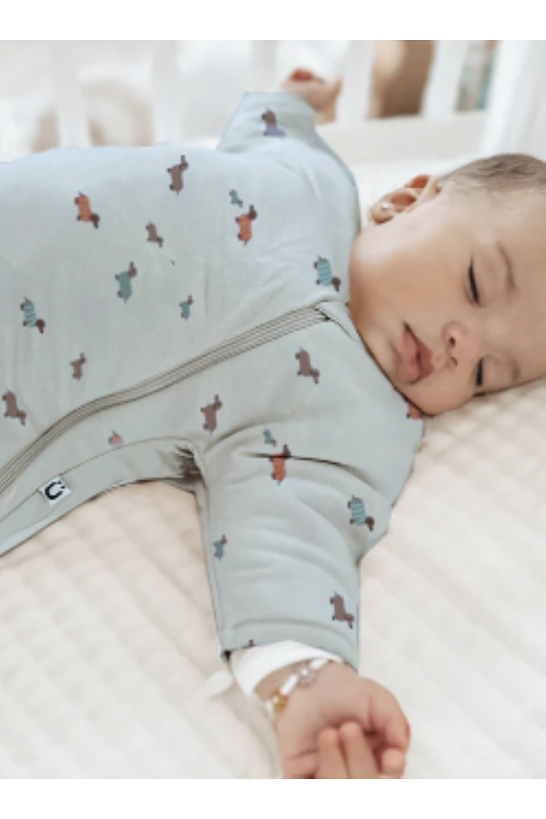 Long Sleeve Transitional Swaddle Sleep Sack - 2.5 T.O.G., Alternate, color, Woof