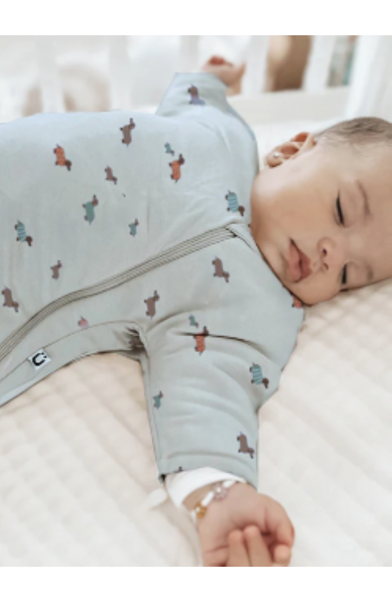 gunamuna Unisex Baby Long Sleeve Transitional Swaddle Sleep Sack, Easy Diaper Changes, 2.5 TOG, Alternate, color, Woof