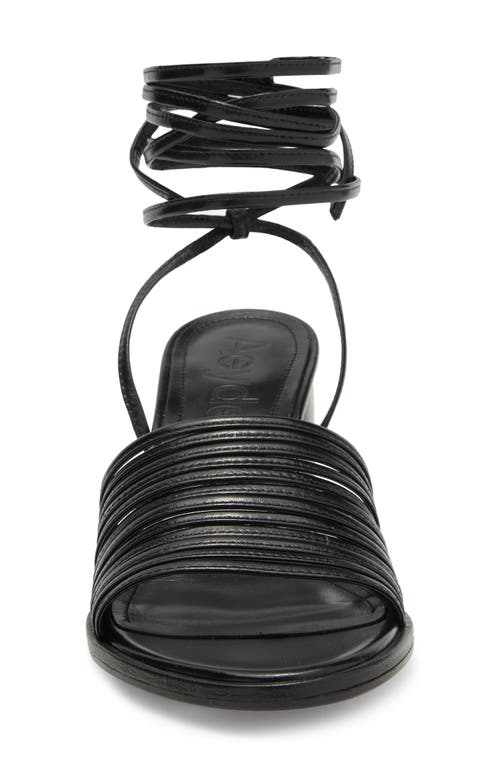 Aeyde Natania Ankle Strap Sandal In Black