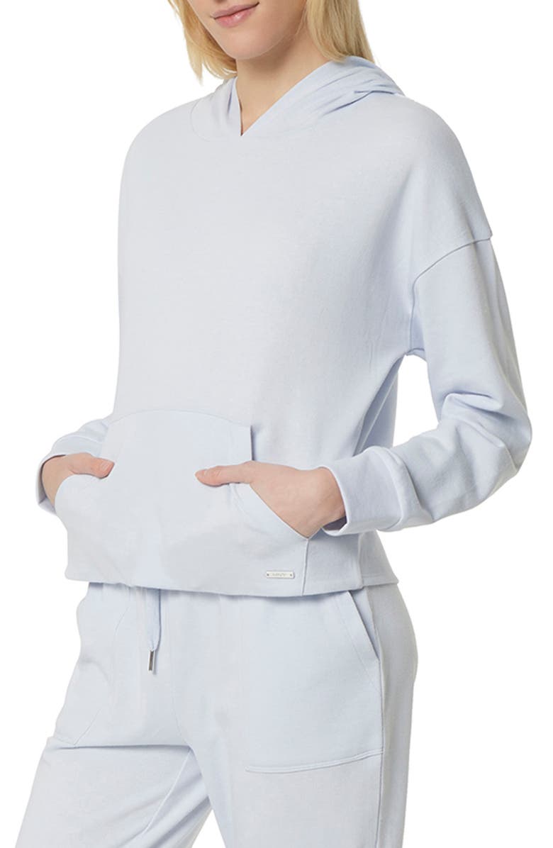 Andrew Marc Sport Long Sleeve Drop Shoulder Hoodie, Main, color, Chambray