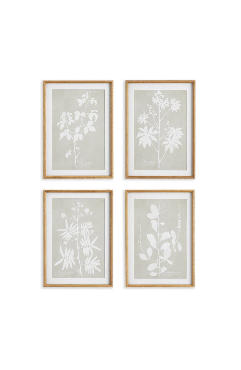 Napa Home & Garden Foliage Study Set of 4, Main, color, Grey