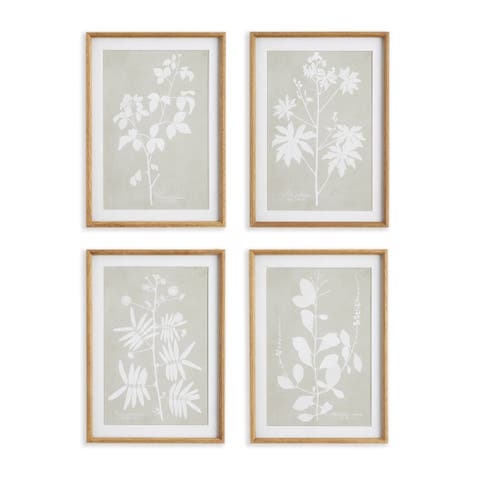 Foliage Study Set of 4