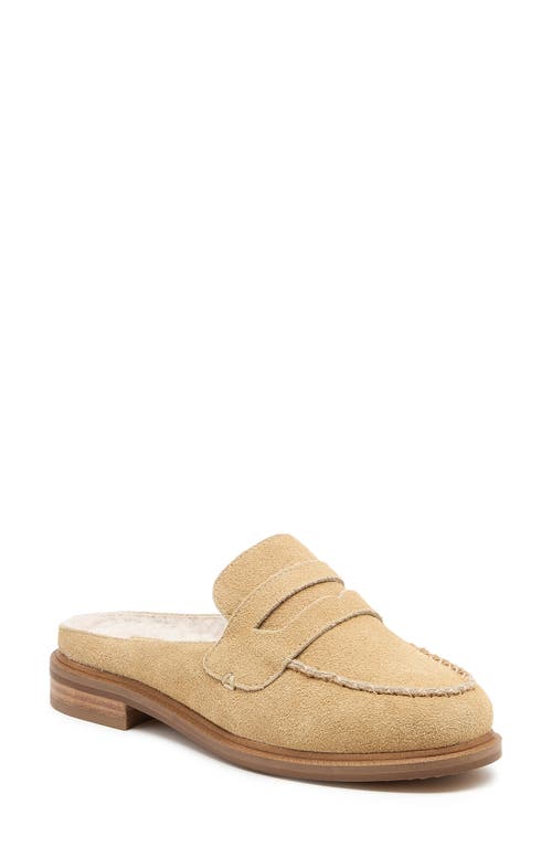 Kelsi Dagger Brooklyn Lock Faux Shearling Lined Mule In Brown