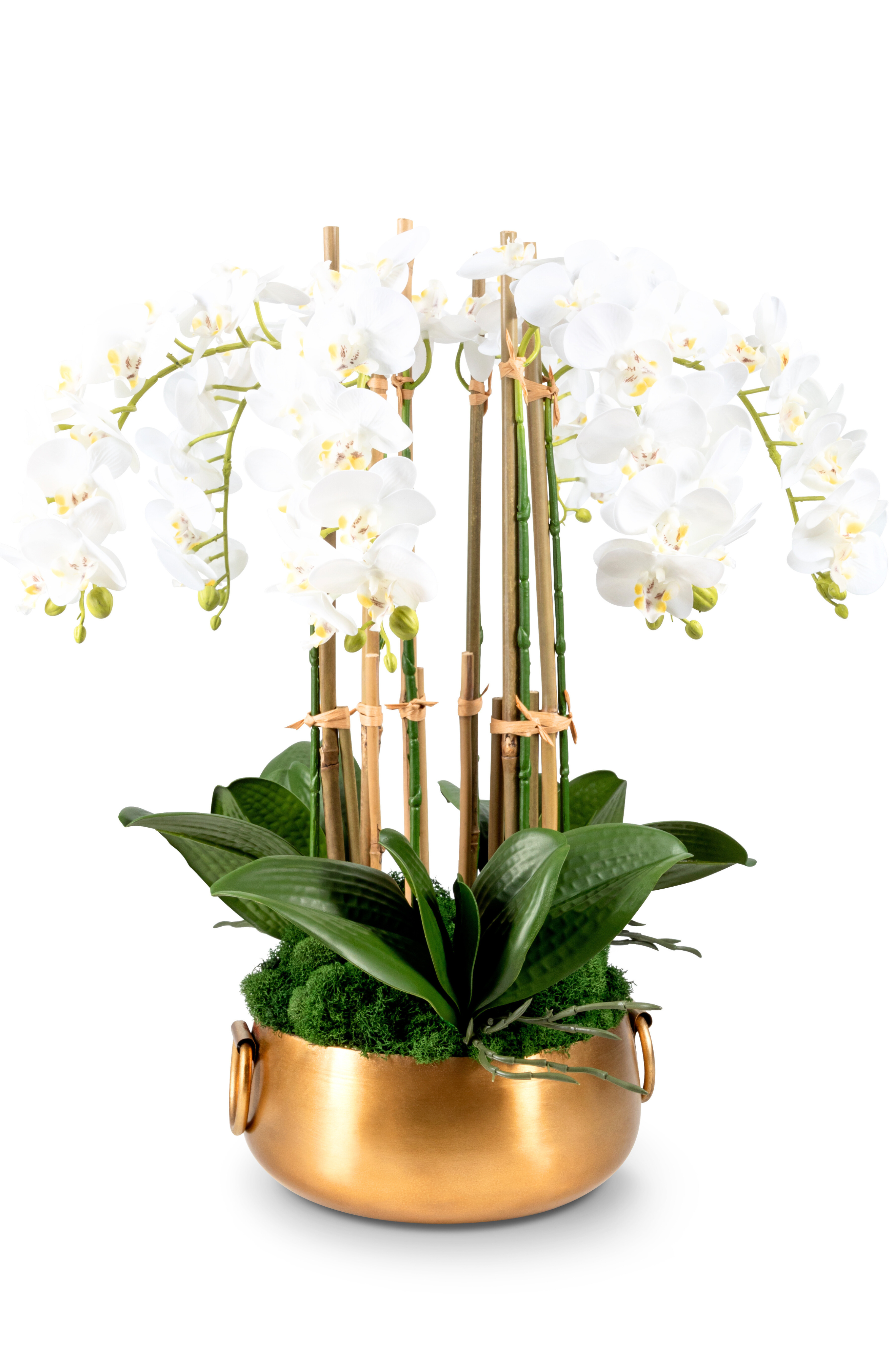 CocoBella Madelyn RealTouch Orchid in Snow 