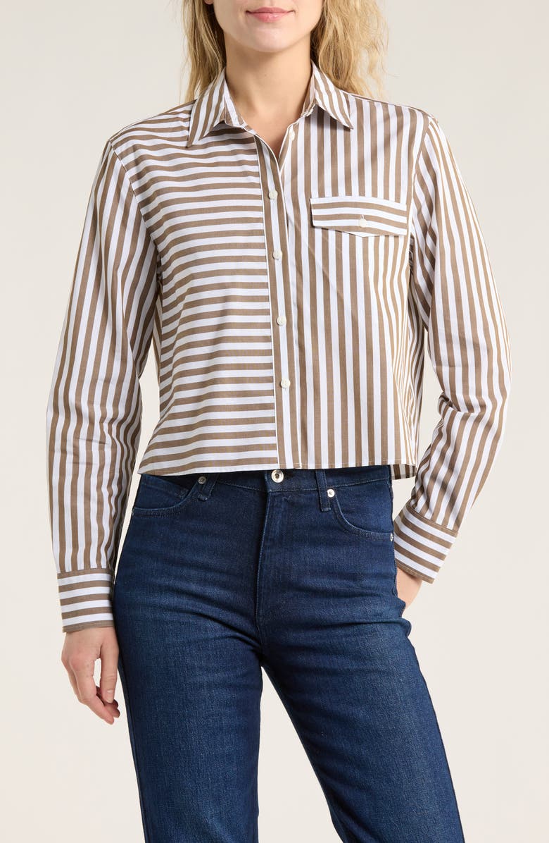 rag & bone Mina Stripe Crop Cotton Shirt, Main, color, Tam Stripe