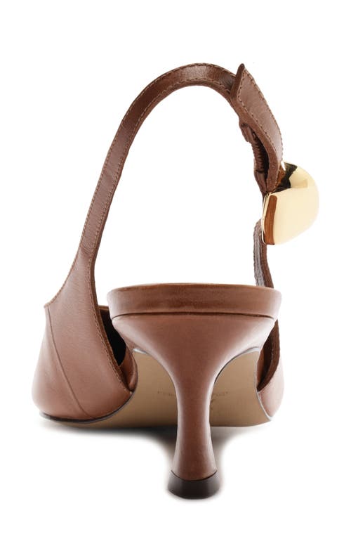 Arezzo Farrah Slingback Pointed Toe Pump In Brown