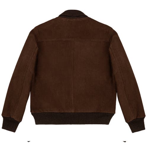 Last Wolf Voyageurs Bomber Jacket In Brown