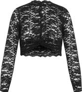 City Chic Arlette Sheer Lace Crop Top