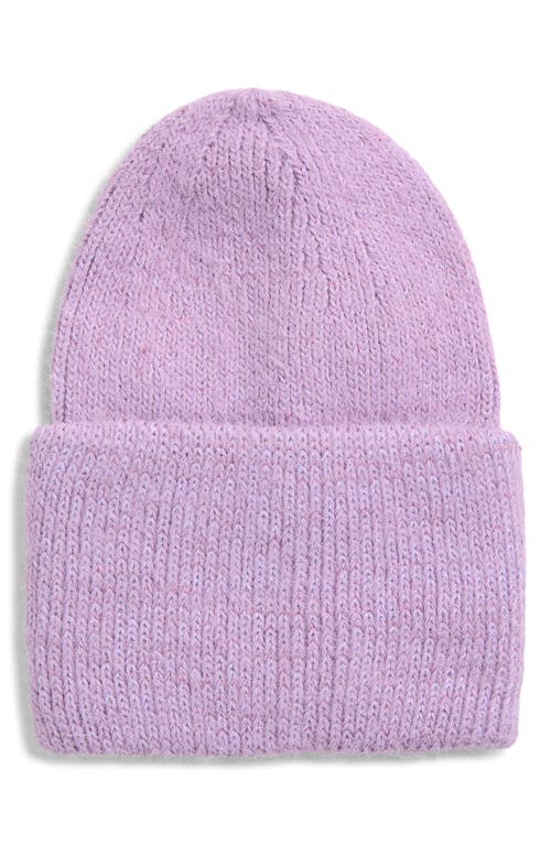 Tasha Cuffed Knit Beanie In Purple