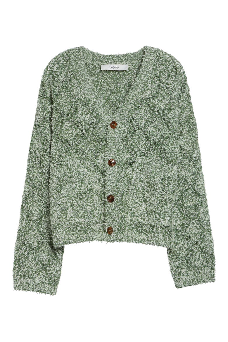 Abain Wool & Mohair Blend Bouclé Cardigan, Alternate, color, ZOYSIA FIELD