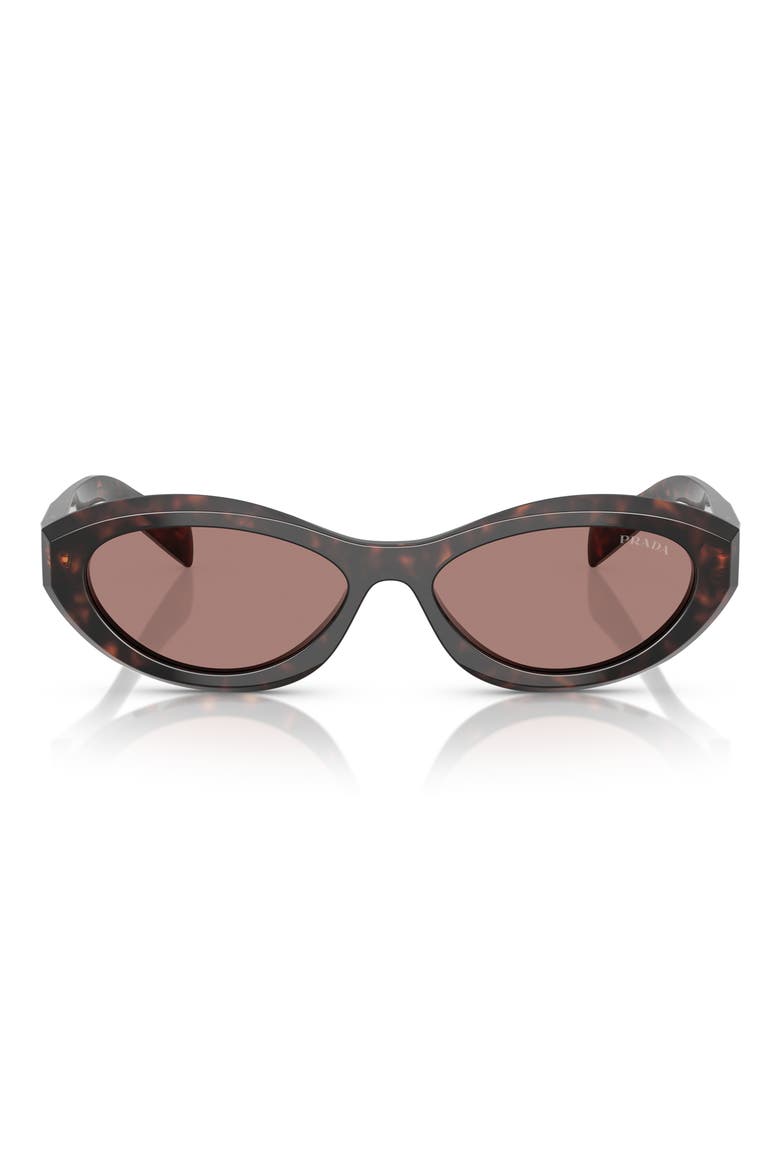 56mm Oval Sunglasses, Main, color, BROWN TORTOISE