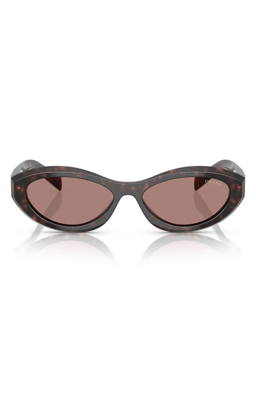 Prada 56mm Oval Sunglasses In Brown Tortoise