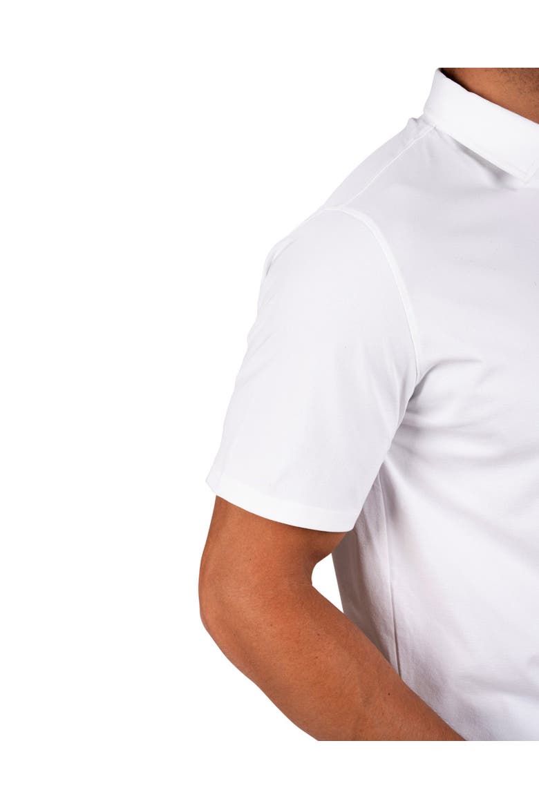 Hayden Polo, Alternate, color, White