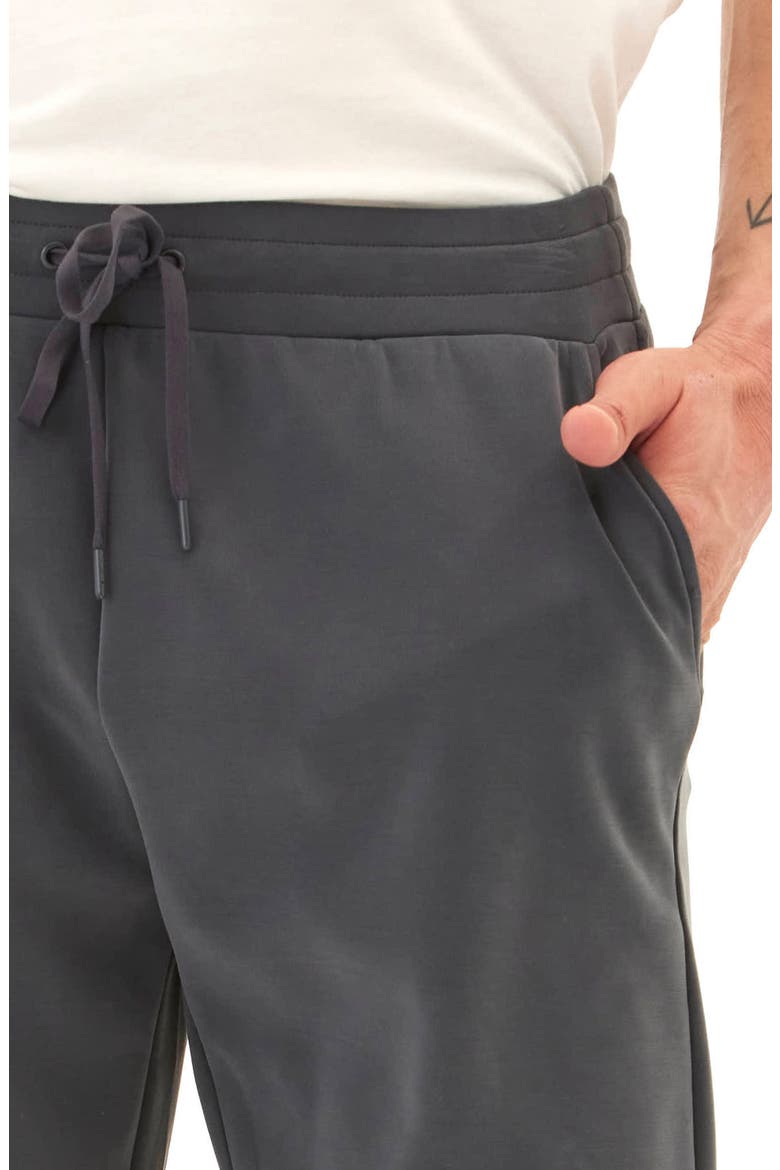 Garrett Peached Drawstring Shorts, Alternate, color, CARBON