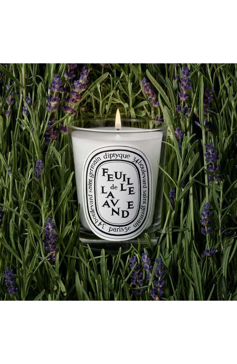 Diptyque Feulle de Lavande (Lavender Leaf) Scented Candle, Alternate, color,