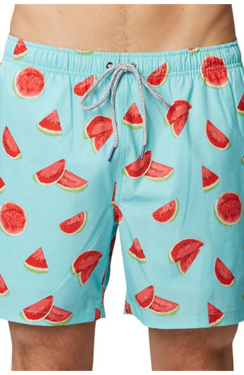 Rainforest One in a Melon Swim Trunks, Main, color, Aruba Blue