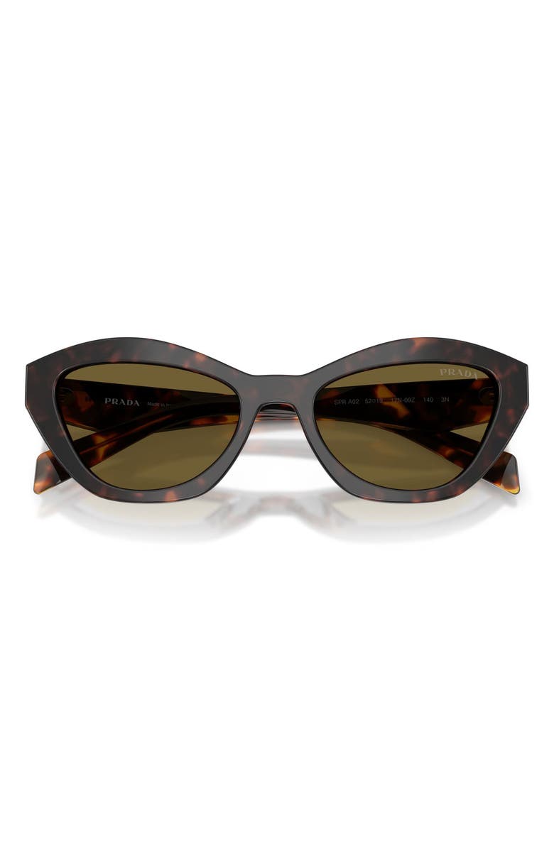 Prada 52mm Butterfly Sunglasses, Alternate, color, Root Tortoise / Dark Brown