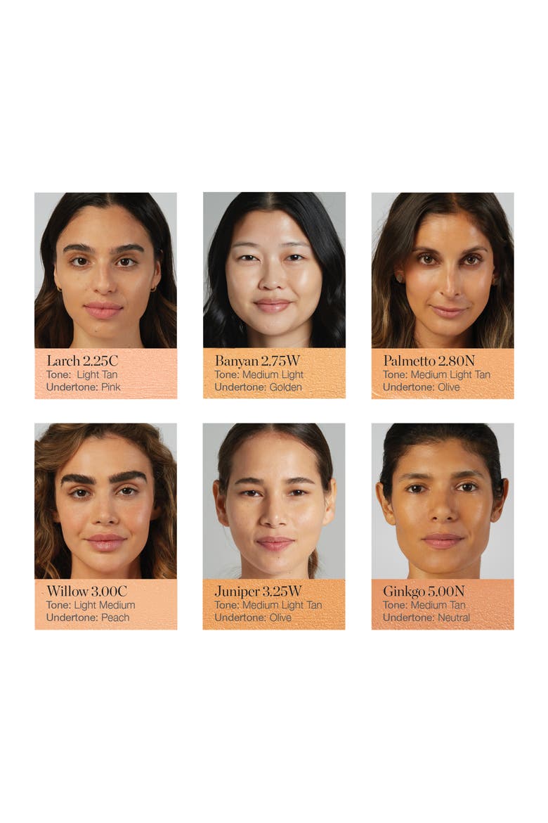 Sculpted Complexion Foundation Stick, Alternate, color, BANYAN