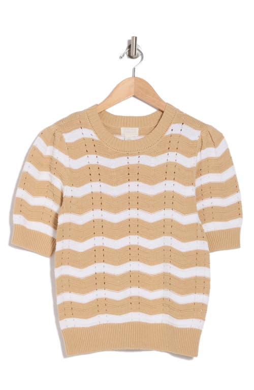 CASLON CASLON® ZIGZAG SHORT SLEEVE NOVELTY SWEATER