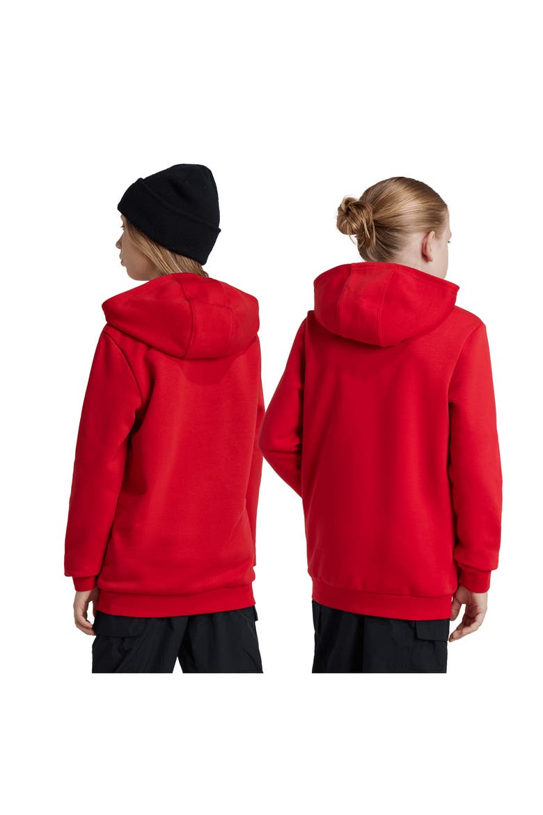 Kids' Essentials Pullover Hoodie, Alternate, color, BETTER SCARLET