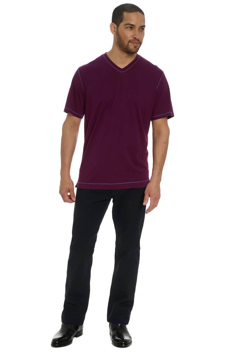 Robert Graham Eastwood Cotton & Modal V-Neck T-Shirt, Alternate, color, 