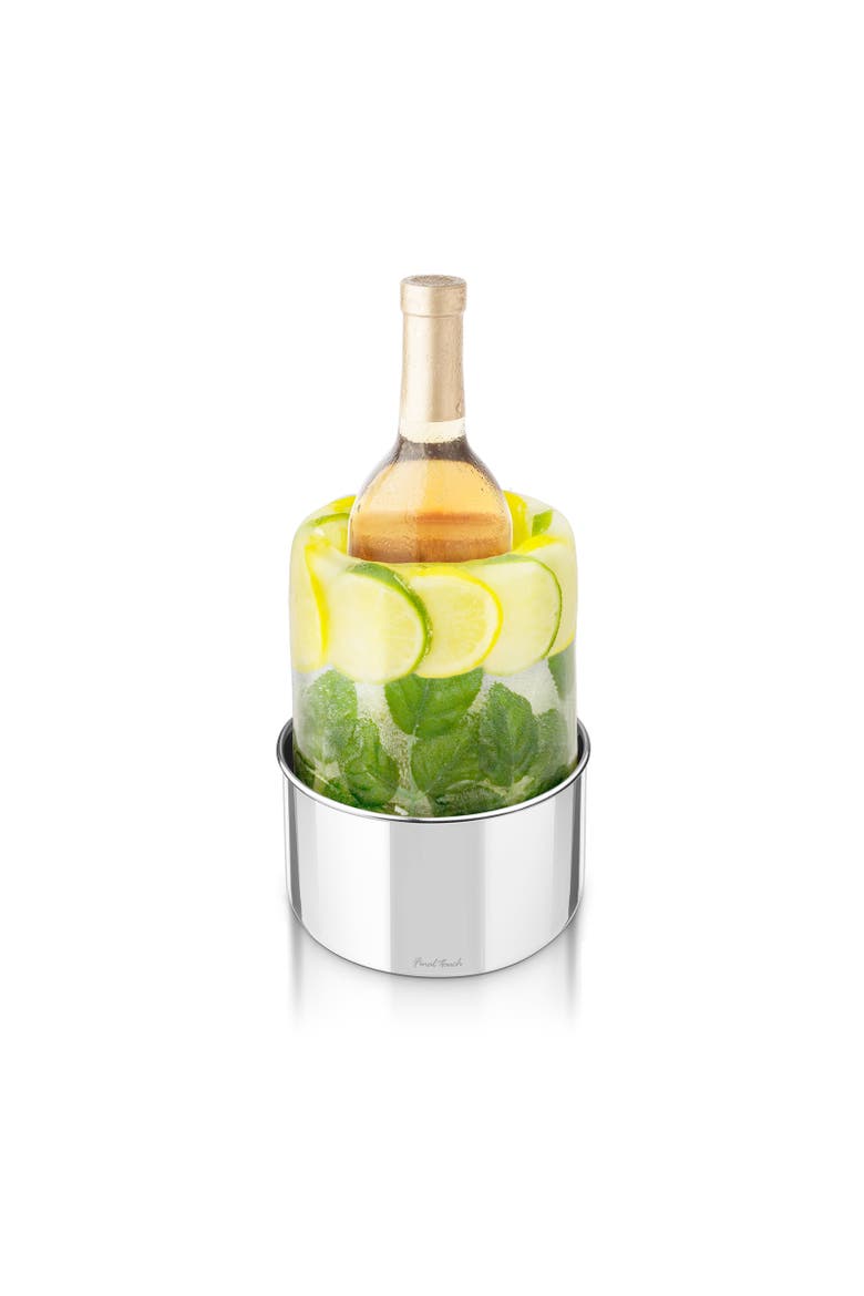 Stainless Steel Ice Bottle Chiller, Main, color, Silver