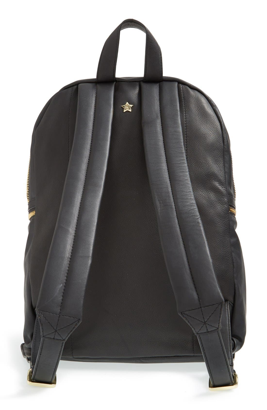 Ash , Alternate, color, 