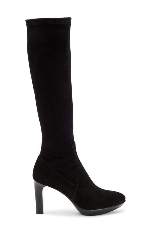 Aquatalia Rhumba Weatherproof Knee High Boot In Black
