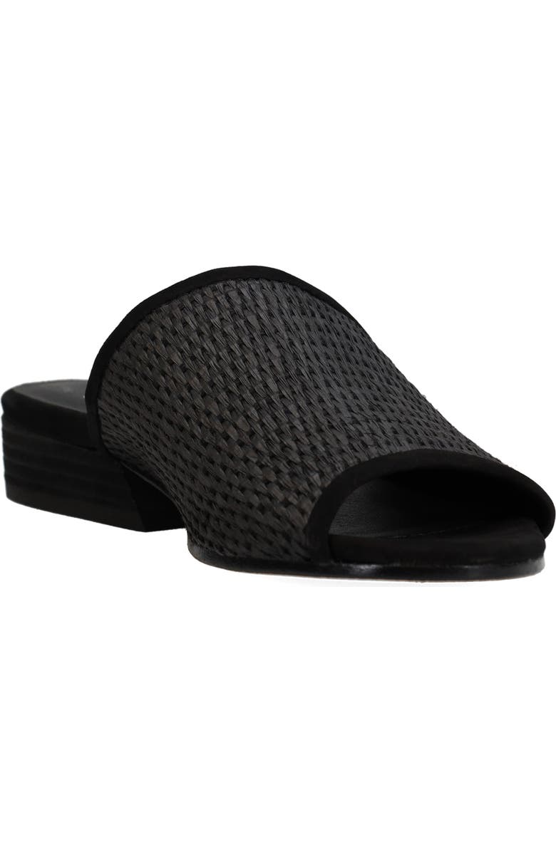 Eileen Fisher Noko Raffia Slide Sandal, Main, color,