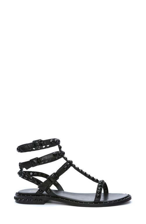 Ash Play Bis Sandal