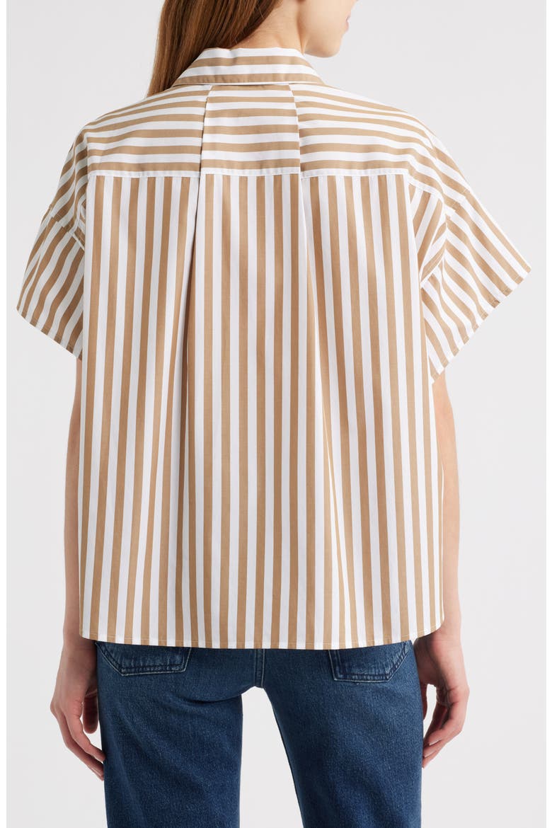 Maura Stripe High-Low Cotton Poplin Button-Up Shirt, Alternate, color, BROWN STRIPE