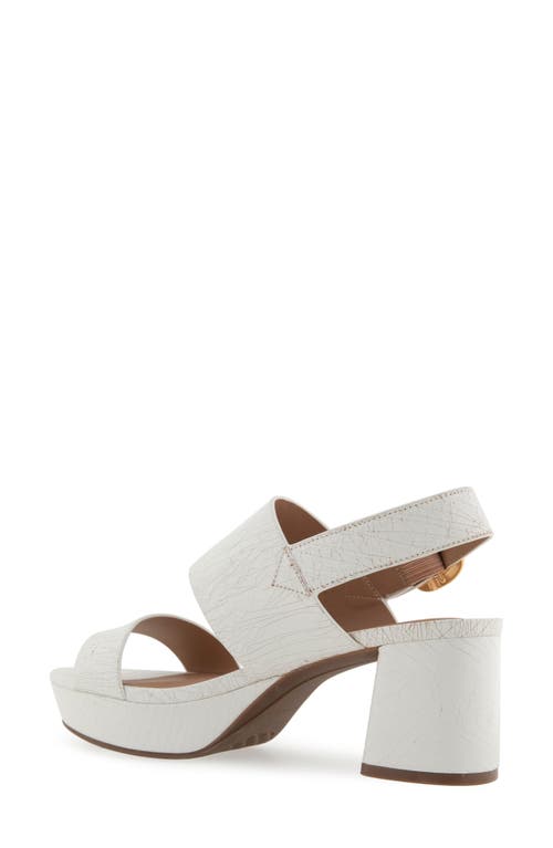 AEROSOLES AEROSOLES CAMERA PLATFORM SANDAL