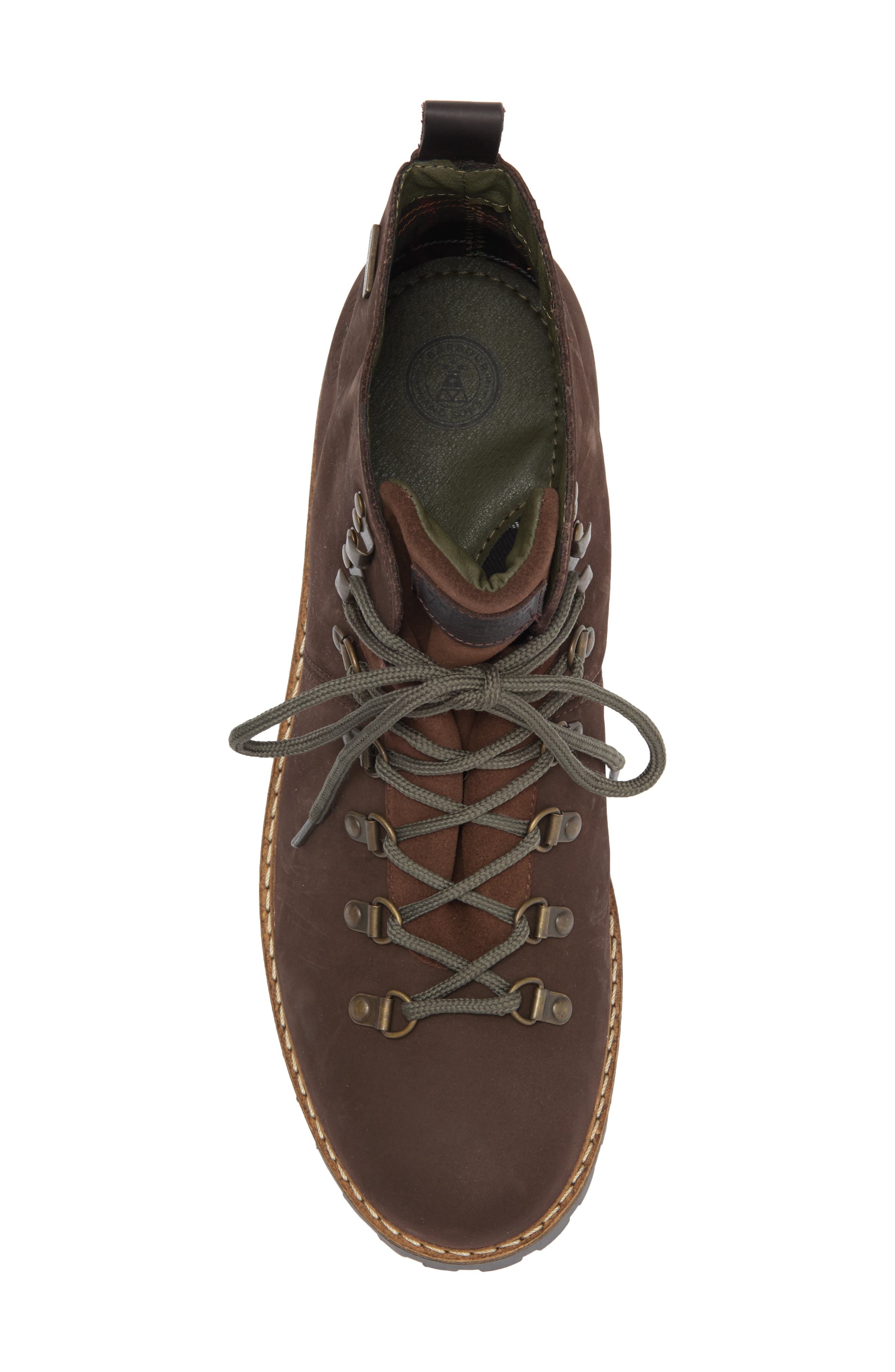 Wainwright Hiking Boot, Alternate, color, CHOCOLATE