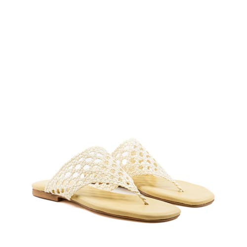 Andrea Gomez Brenda Flat