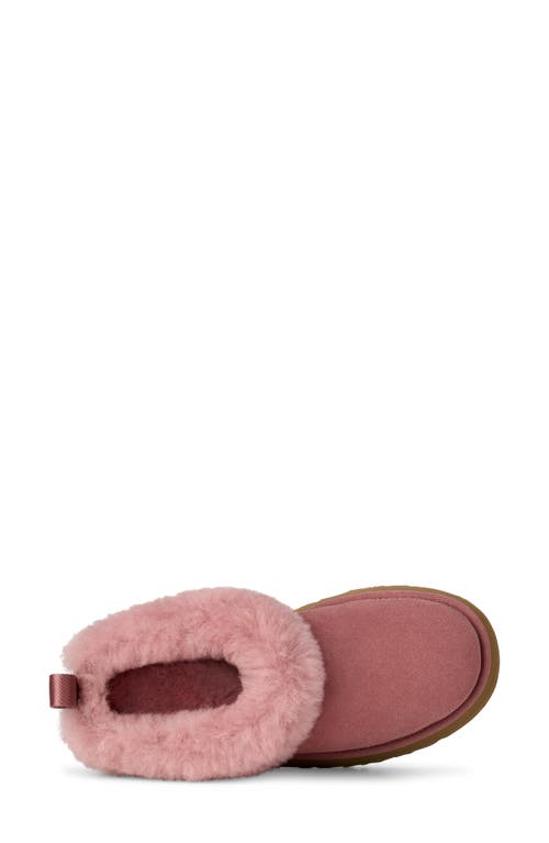Ugg(r) Tazzelle Genuine Shearling Collar Slipper In Pink