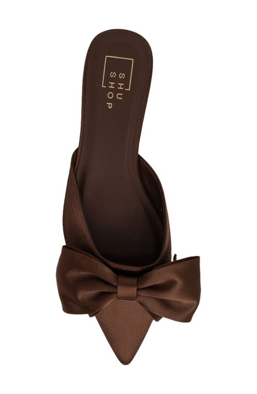 Shushop Dorothy Pointed Toe Flat In Brown