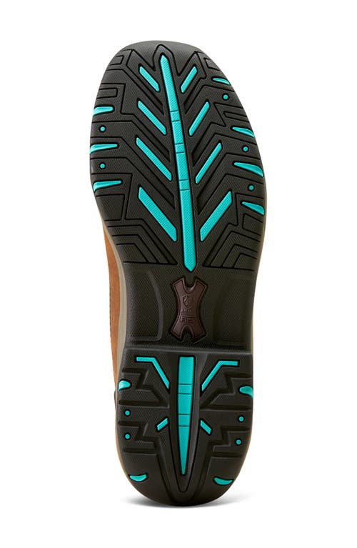 Ariat Terrain Venttek™ 360° Shoe In Brown
