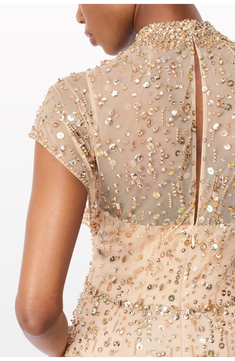 Jenny Packham Crystal Drop embellished high-neck maxi dress, Alternate, color, Illusion