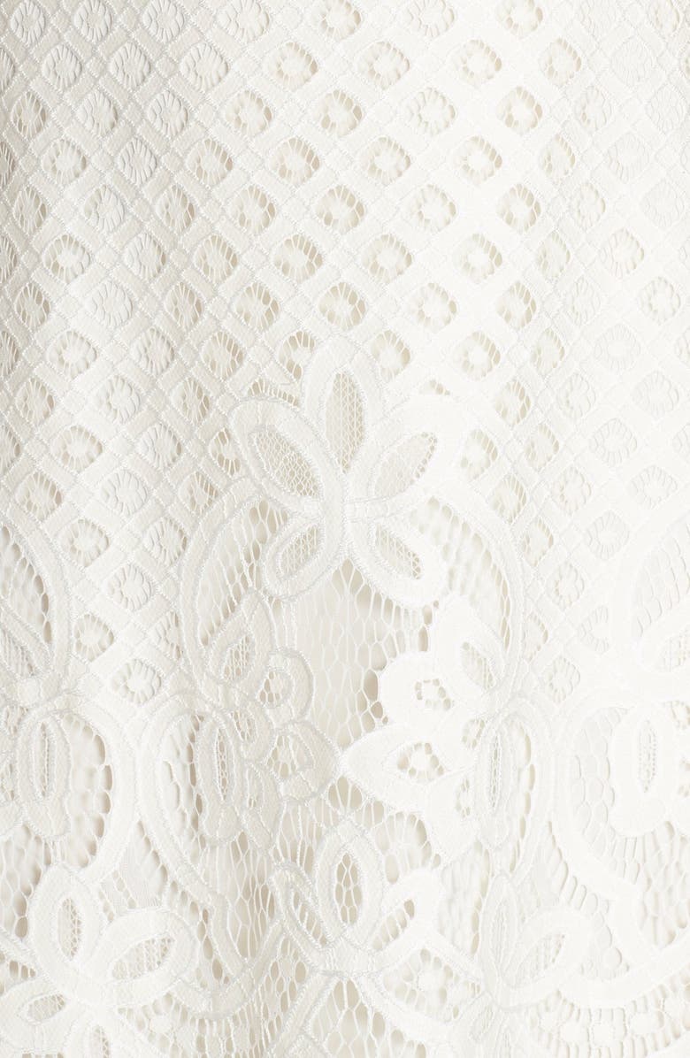 Gabby Skye Lace A-Line Dress, Alternate, color,