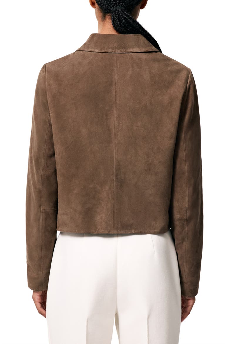 Drew Crop Suede Jacket, Alternate, color, TAUPE NEUTRAL