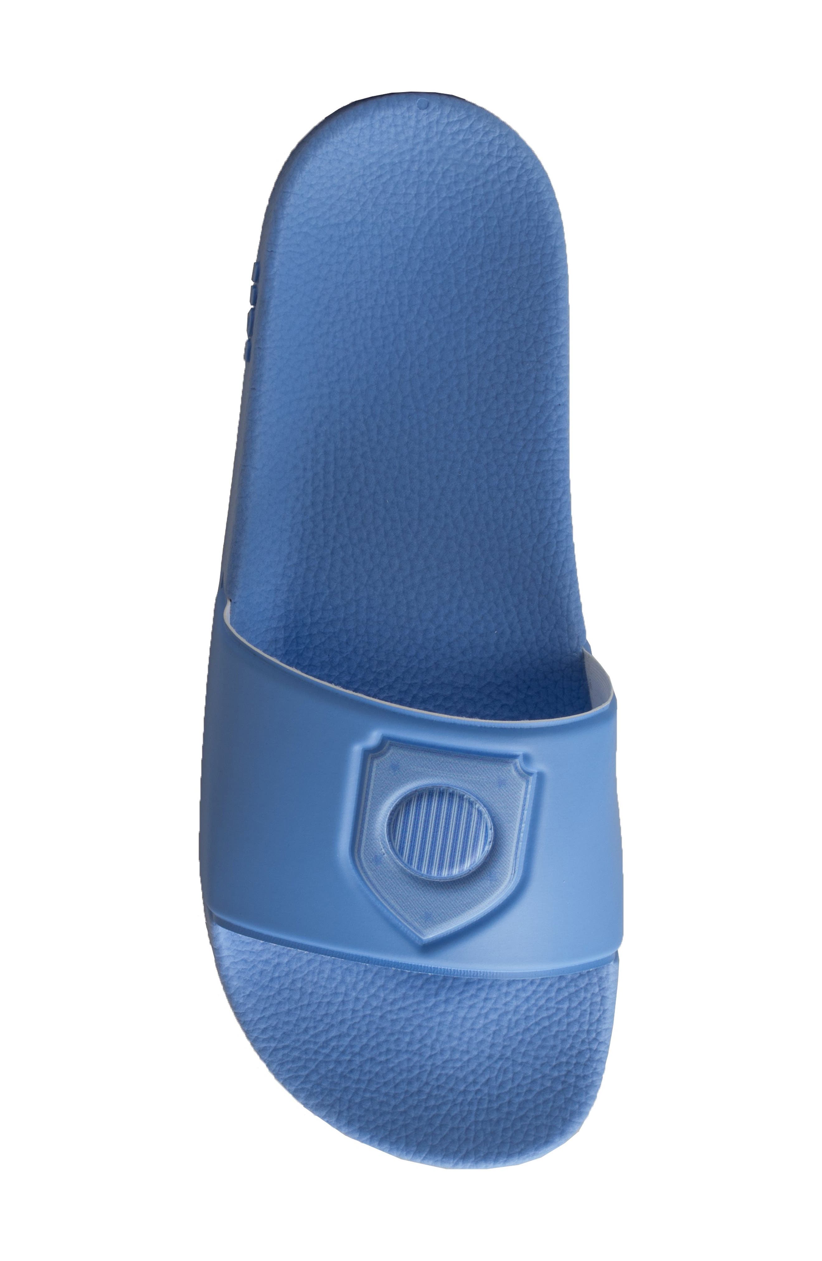 Aryeh Slide Sandal, Alternate, color, ARGENTINA