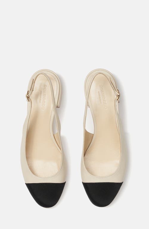 Shop Scarosso Coco High Heels